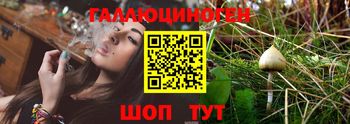 Галлюциногенные грибы Psilocybe  дарнет шоп  Солнечногорск  Вход с VPN 