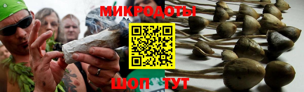 Псилоцибиновые грибы прущие грибы Солнечногорск